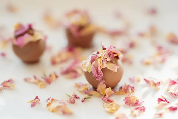 Фийвър Слотс Казино Android/iOS приложение